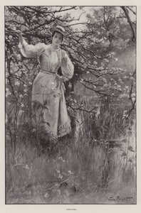 Primavera